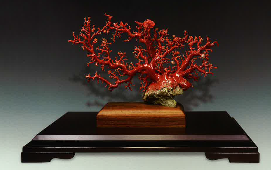31％割引オレンジ系人気新品 赤珊瑚原木 赤珊瑚 ネックレス